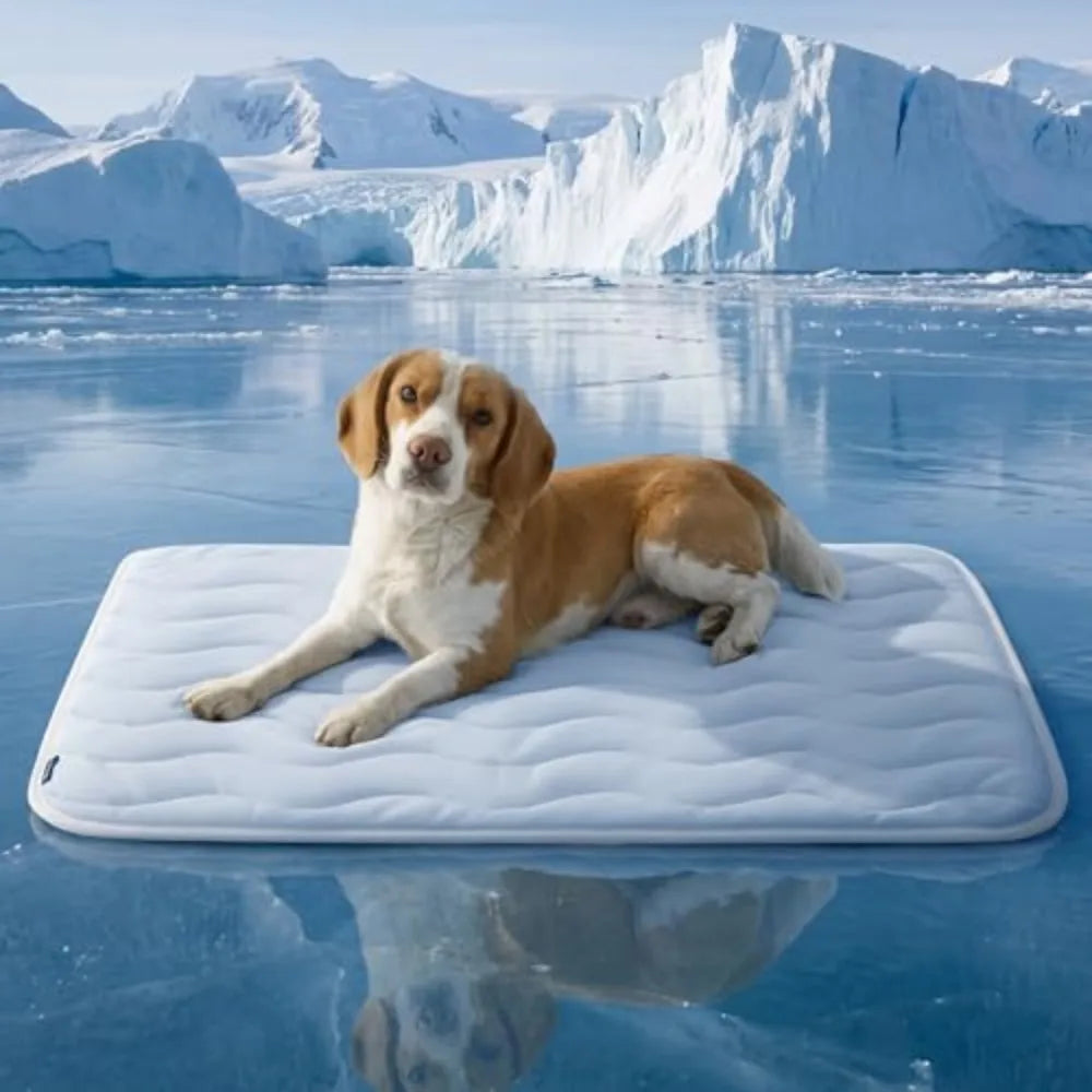 Bedsure Cooling Mat for Dogs Washable Breathable Pet Comfort