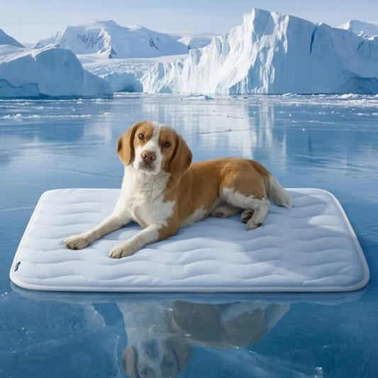 Bedsure Cooling Mat for Dogs Washable Breathable Pet Comfort