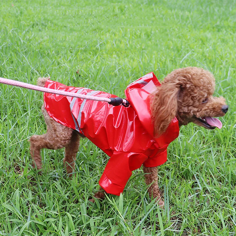 Waterproof Hooded Dog Raincoat Outdoor Jacket For Dogs And Cats
