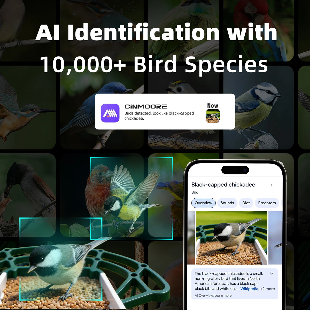 CINMOORE Smart Bird Feeder Camera With AI Bird Identification