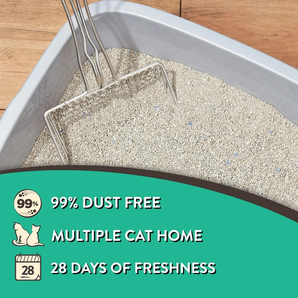 Special Kitty Clumping Cat Litter With Fresh Odor Protection