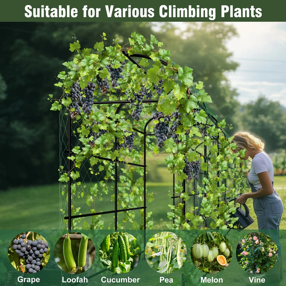 Wisfor Metal Garden Trellis Support Frame For Climbing Plants