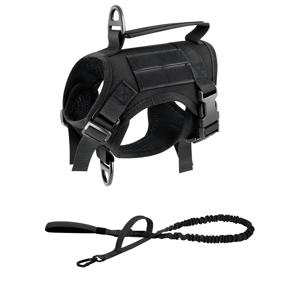 PETRAVEL Cat Harness Vest And Leash Set For Outdoor Walking