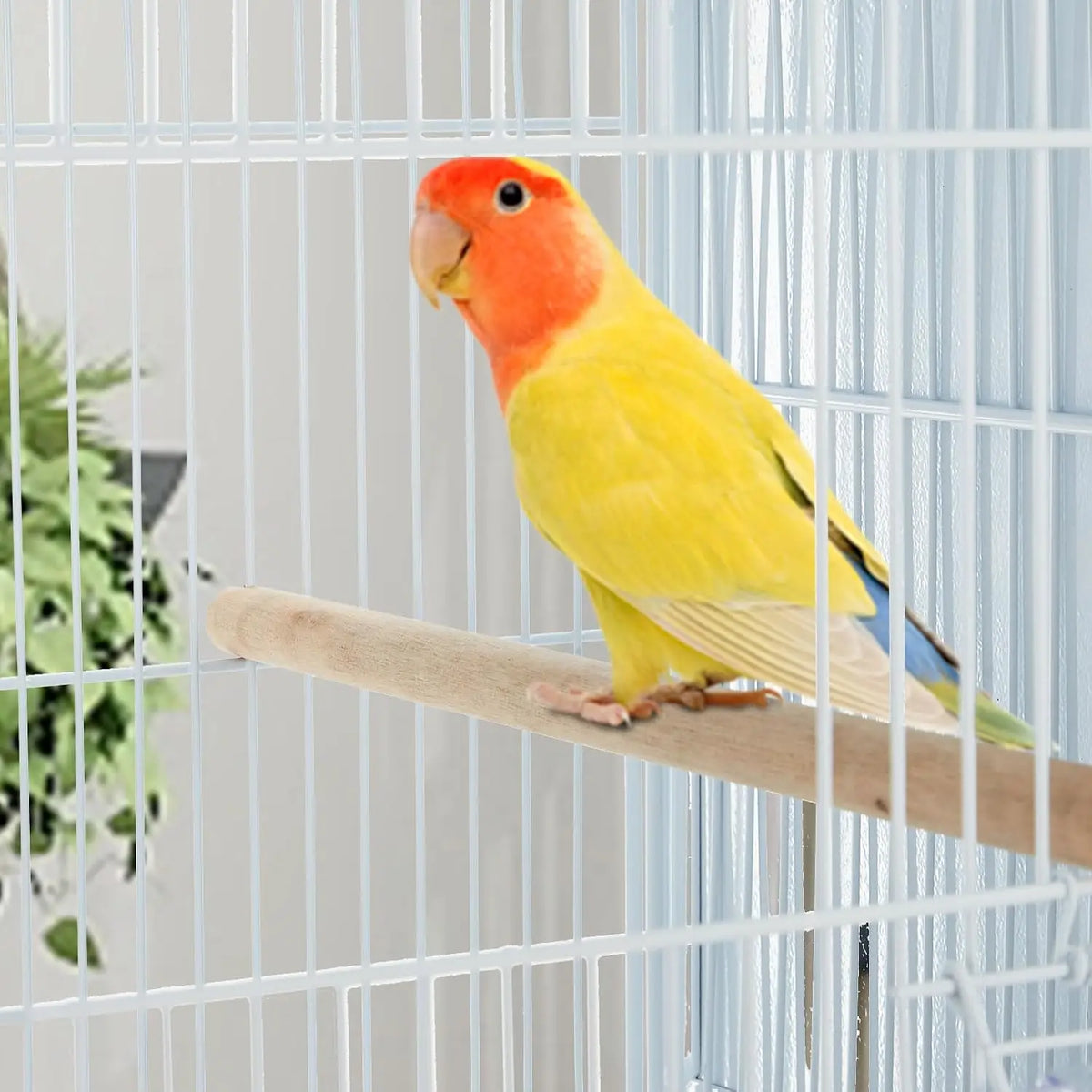 Large Stackable Bird Parrot Cage for Cockatiel Spacious 4-Unit, 67inch H With Shelf, Slide-Out Trays Bird Nests Indoor Flight House Locking Casters
