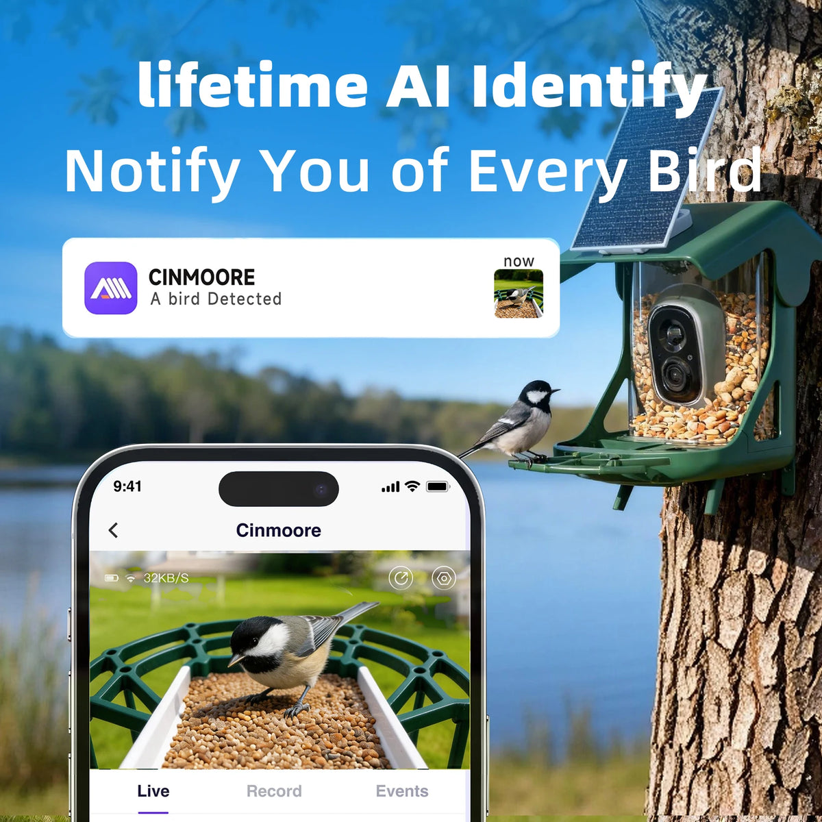 CINMOORE Smart Bird Feeder Camera With AI Bird Identification
