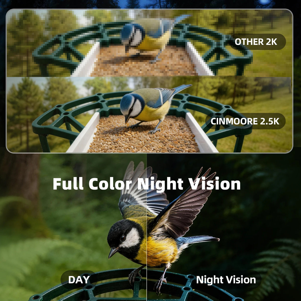 CINMOORE Smart Bird Feeder Camera With AI Bird Identification