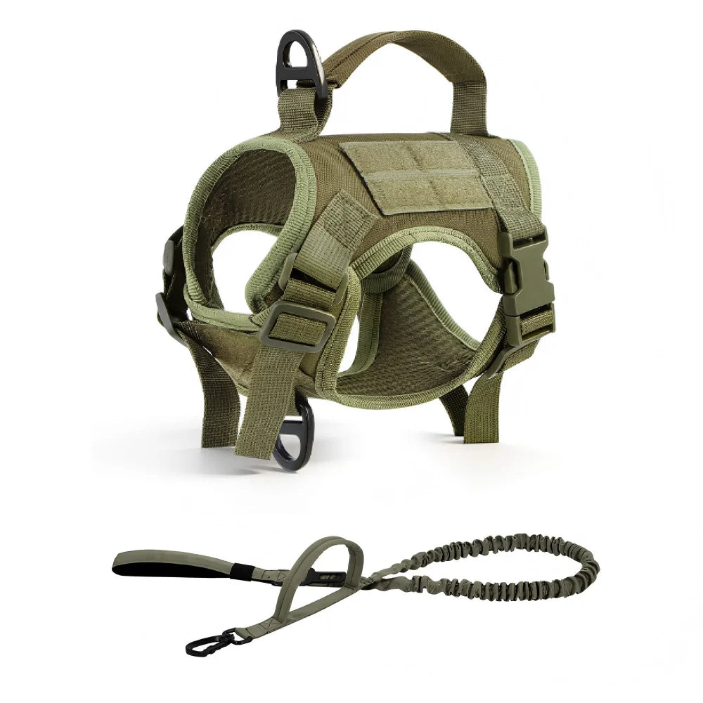 PETRAVEL Cat Harness Vest And Leash Set For Outdoor Walking