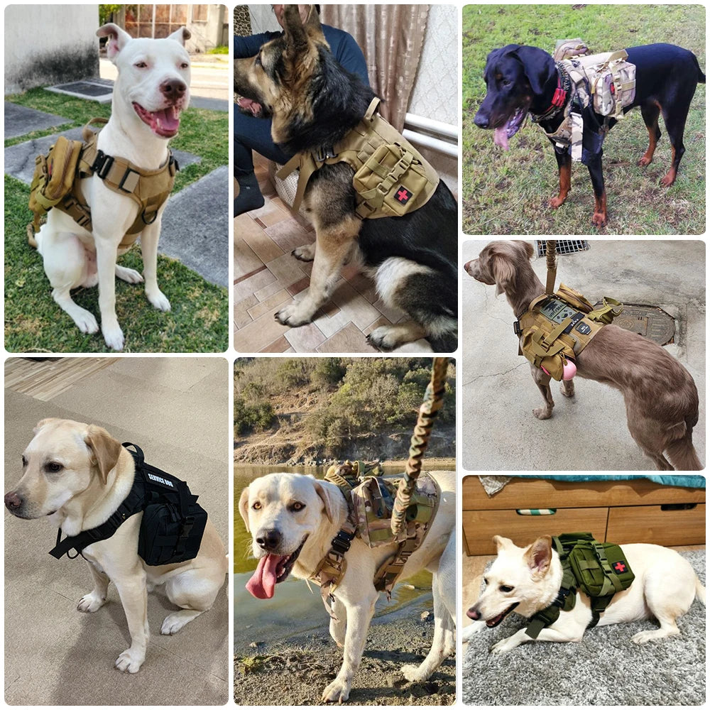 PETRAVEL Tactical Dog Harness And Leash Set For Training