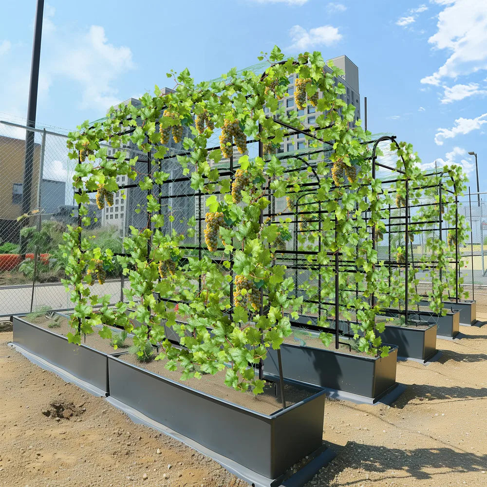 Wisfor Metal Garden Trellis Support Frame For Climbing Plants