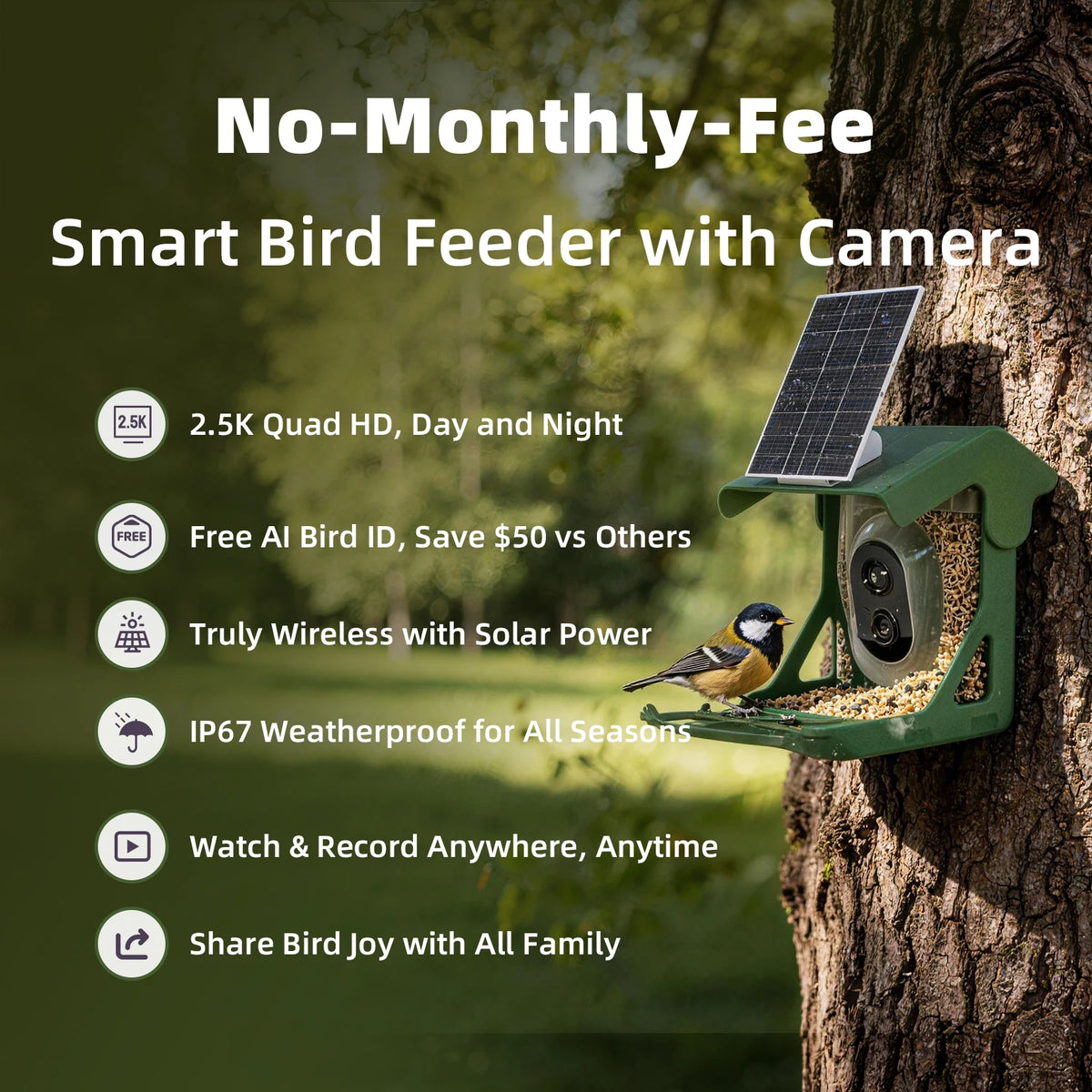 CINMOORE Smart Bird Feeder Camera With AI Bird Identification